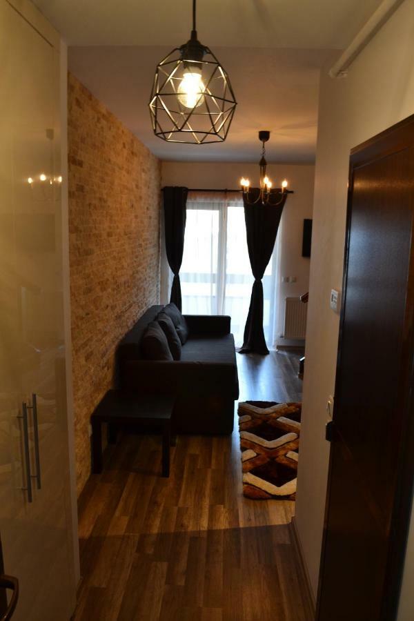 Apartament Golden Rose 1 Buşteni Εξωτερικό φωτογραφία