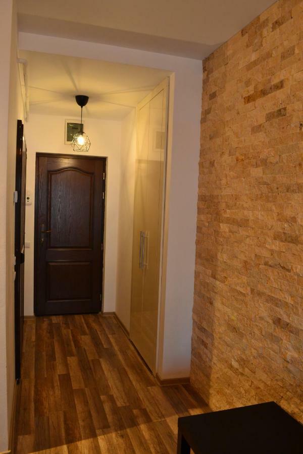 Apartament Golden Rose 1 Buşteni Εξωτερικό φωτογραφία