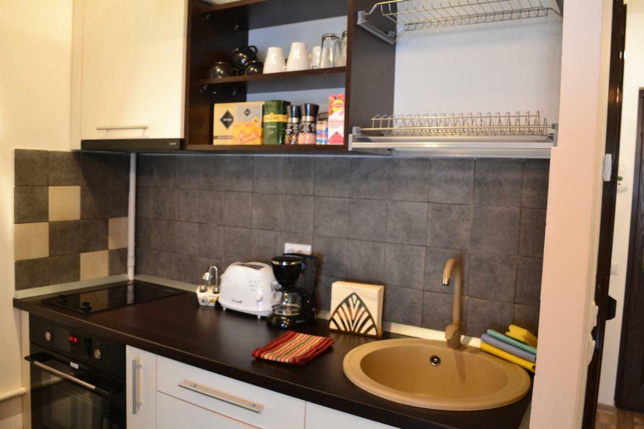 Apartament Golden Rose 1 Buşteni Εξωτερικό φωτογραφία