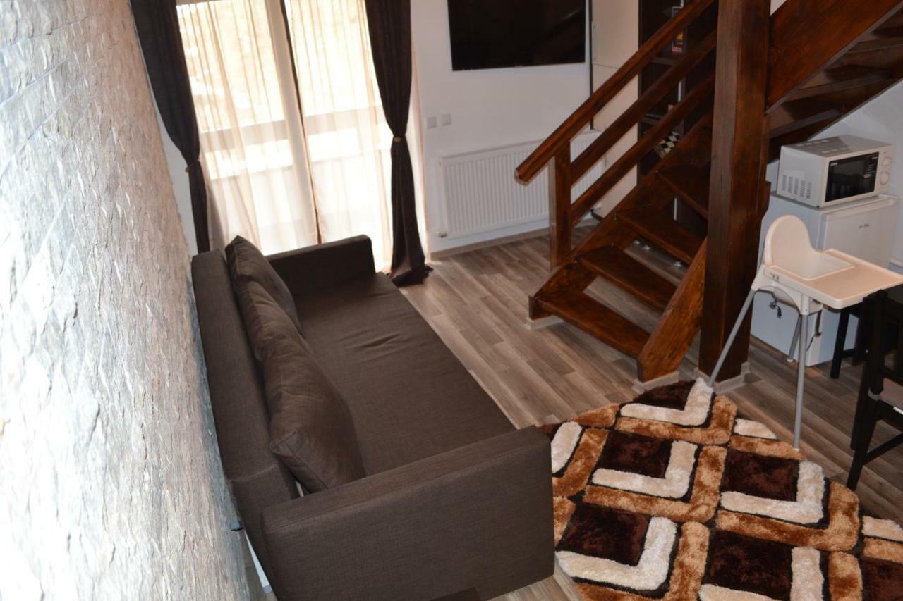 Apartament Golden Rose 1 Buşteni Εξωτερικό φωτογραφία